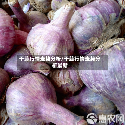 干蒜行情走势分析/干蒜行情走势分析最新