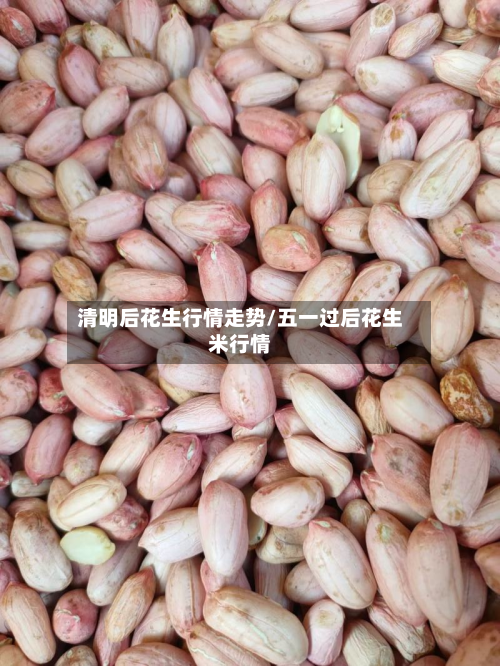 清明后花生行情走势/五一过后花生米行情