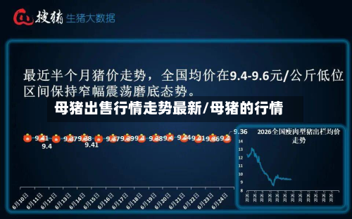 母猪出售行情走势最新/母猪的行情-第2张图片
