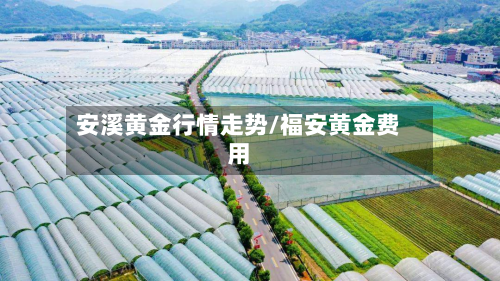安溪黄金行情走势/福安黄金费用
