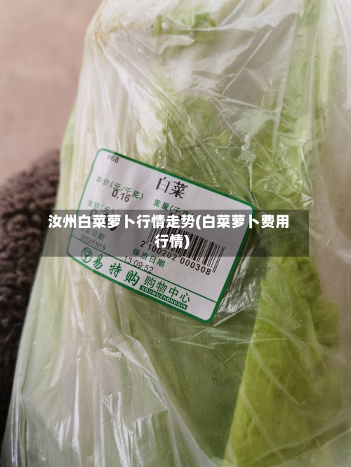 汝州白菜萝卜行情走势(白菜萝卜费用行情)-第3张图片