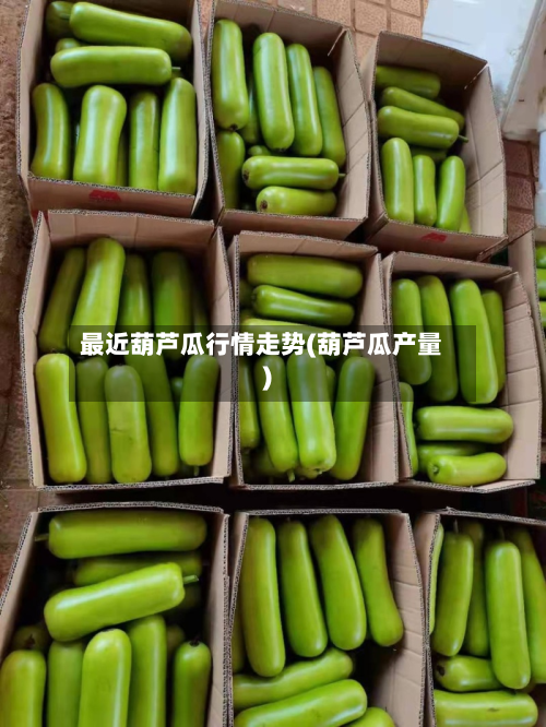 最近葫芦瓜行情走势(葫芦瓜产量)