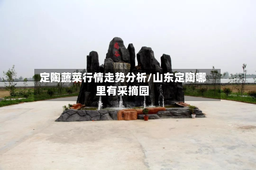 定陶蔬菜行情走势分析/山东定陶哪里有采摘园