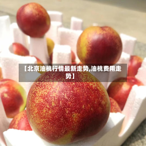 【北京油桃行情最新走势,油桃费用走势】