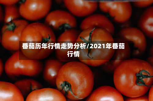 番茄历年行情走势分析/2021年番茄行情