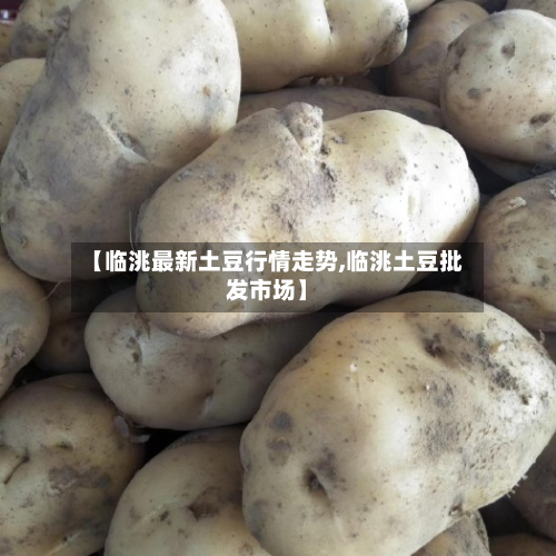 【临洮最新土豆行情走势,临洮土豆批发市场】-第2张图片