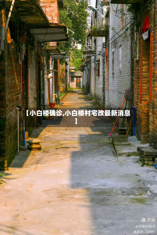 【小白楼确诊,小白楼村宅改最新消息】