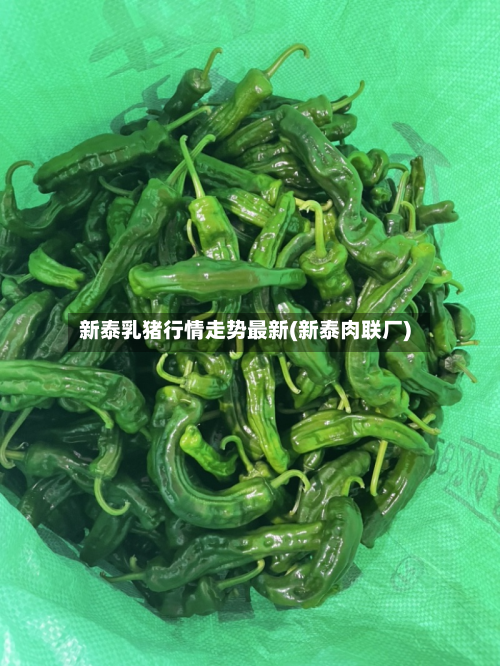 新泰乳猪行情走势最新(新泰肉联厂)-第3张图片